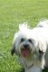 Thumbs/tn_Bild-01 027.jpg